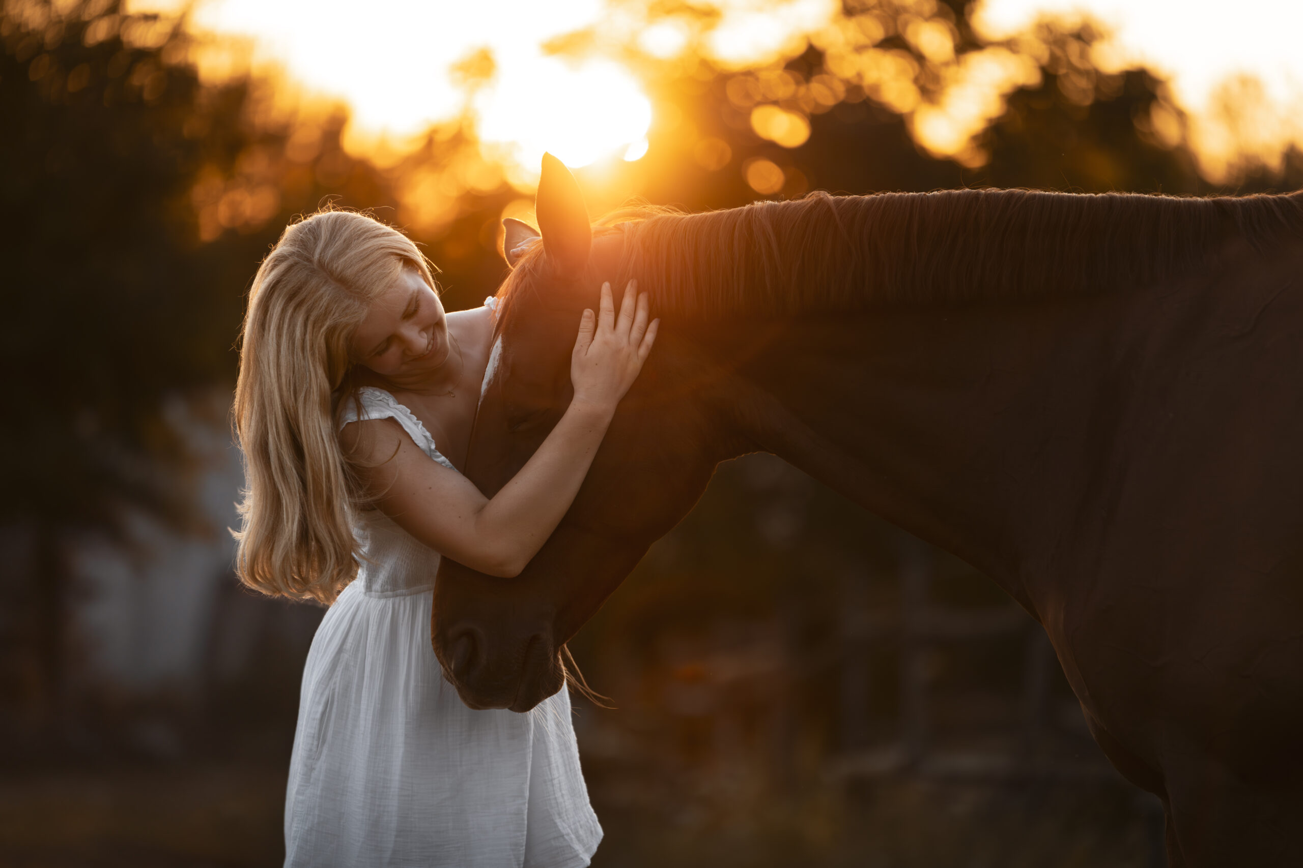 Romantischer Moment zwischen Pferd und Reiter in der Abendsonne beim Reiterverein Lörrach, fotografiert durch Kameralaus.
