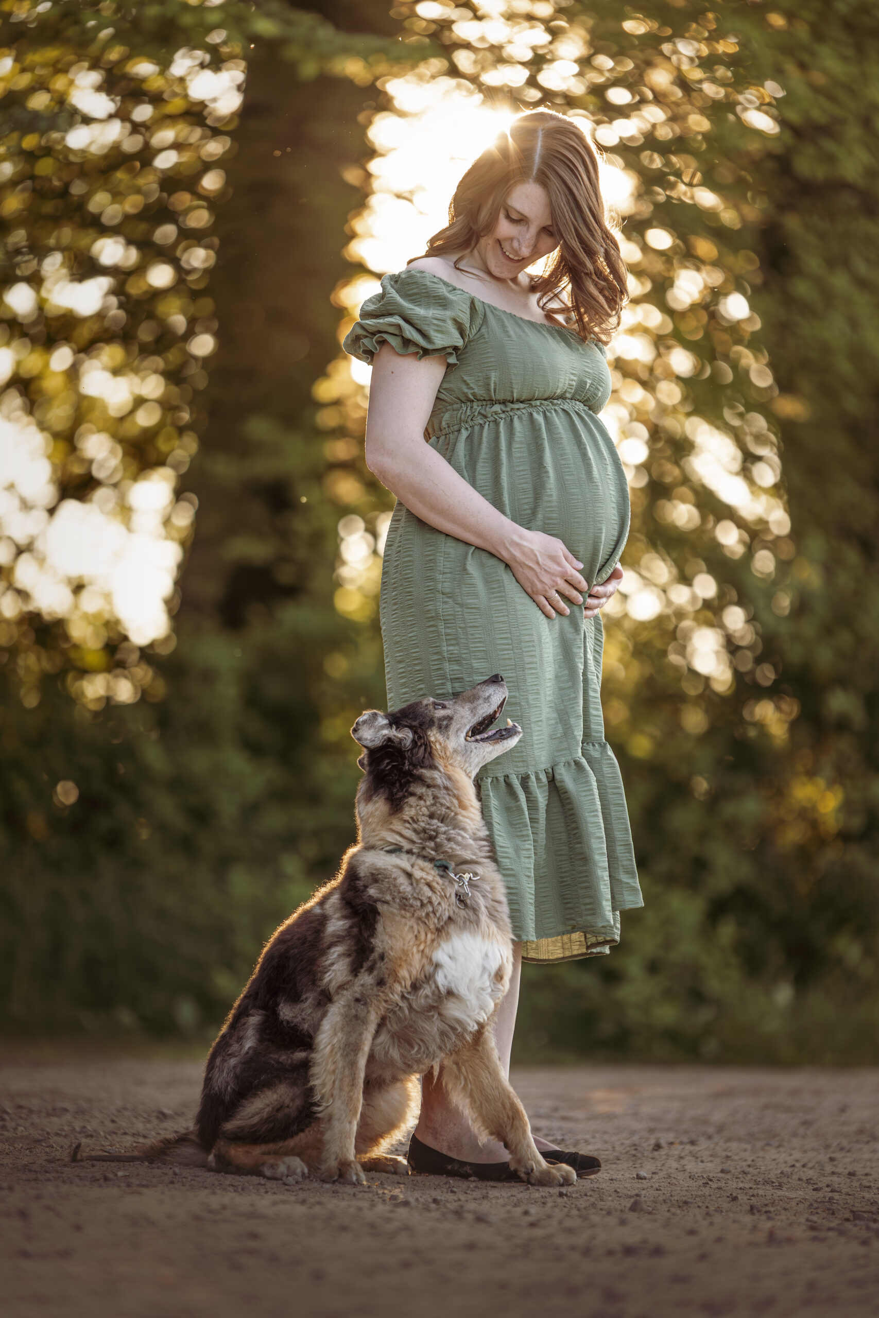 Schwangere Frau beim Fotoshooting mit ihrem Hund im Abendlicht in Lörrach-Brombach, fotografiert durch Kameralaus.